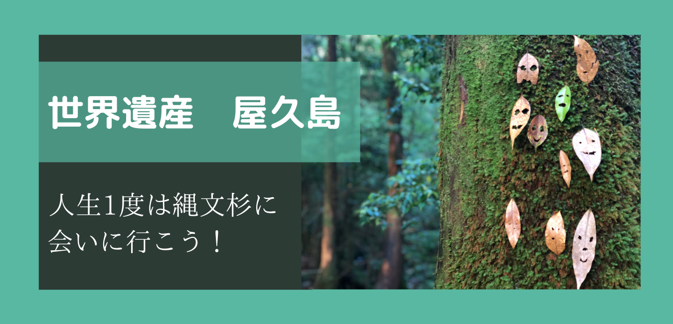 世界遺産 屋久島 初心者にもおすすめ 人生で1度は縄文杉に会いに行こう やちゃぼうたいむ